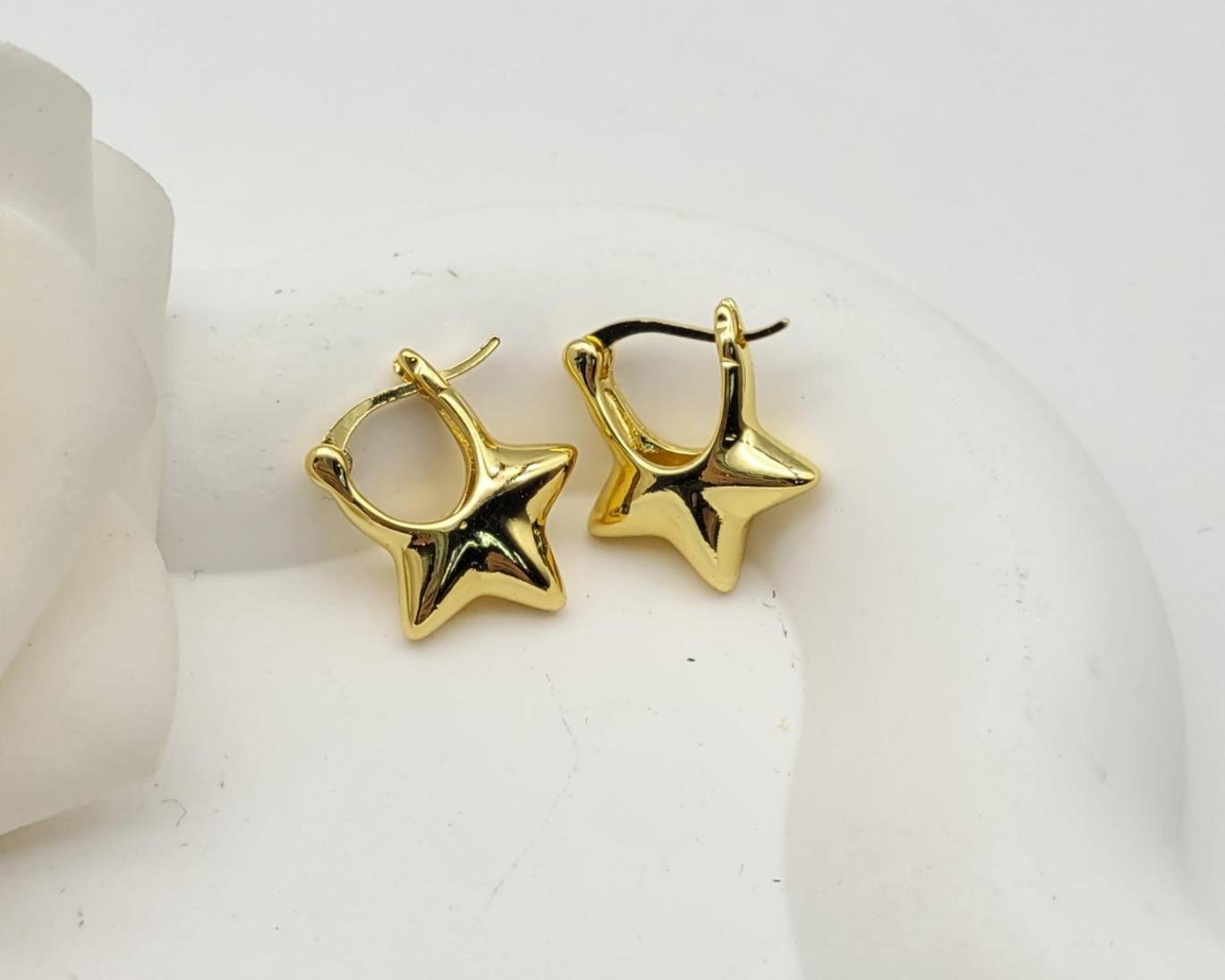 Arete Latón Oro 18K HQHE08503352