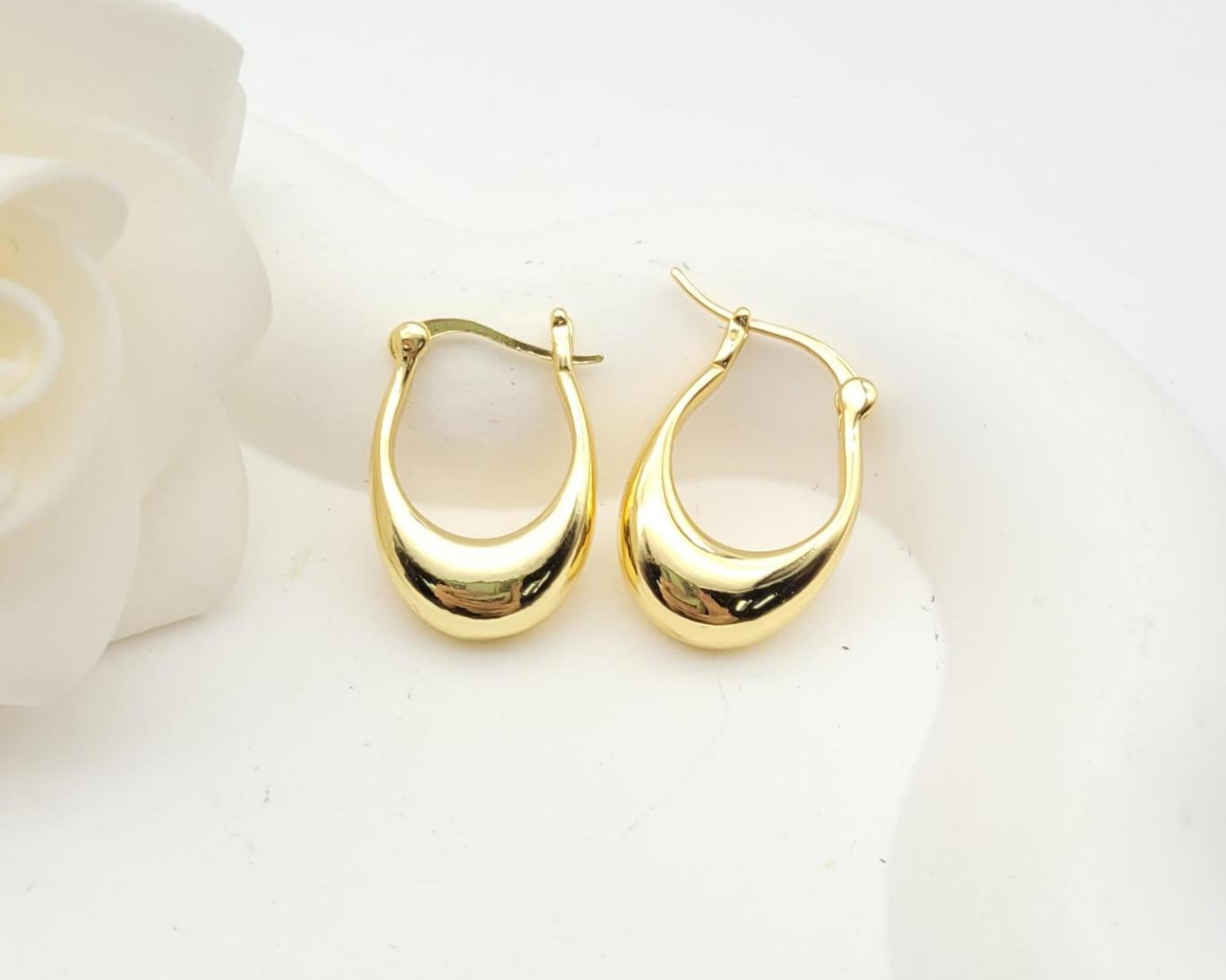Arete Latón Oro 18K HQHE08503354