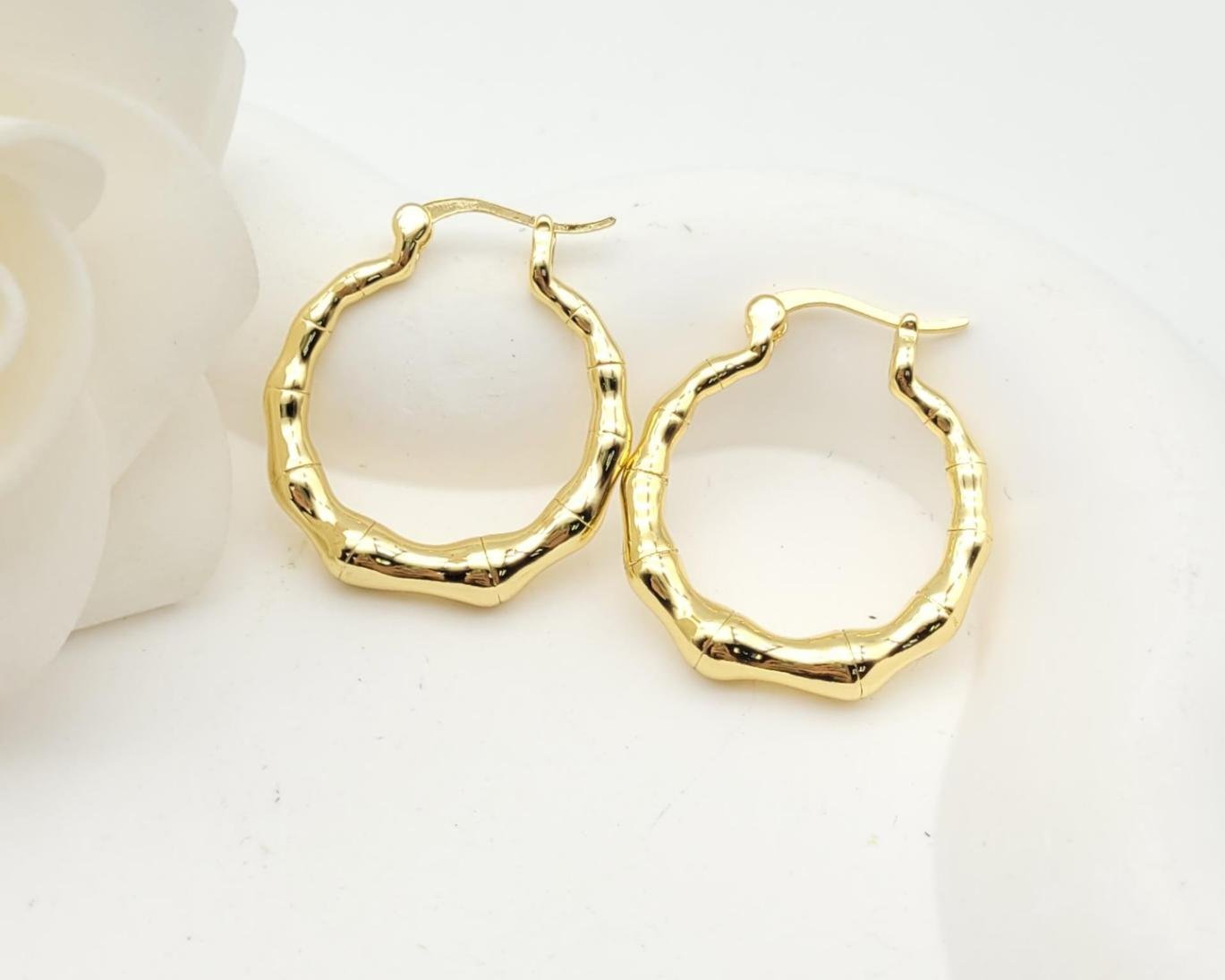 Arete Latón Oro 18K HQHE08503363