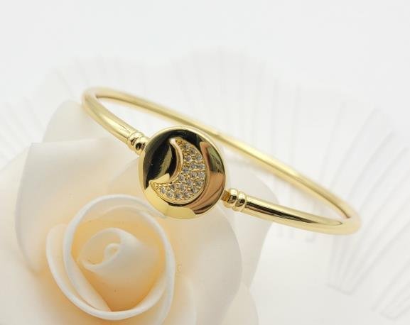 Brazalete Latón Oro 18K JB2200286