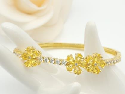 Brazalete Latón Oro 18K JB3000456