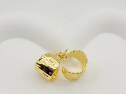 Aretes JLE1100375