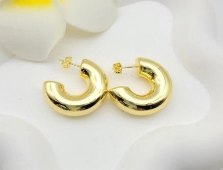 Aretes JLE1300708