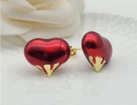 Aretes JLE1500600