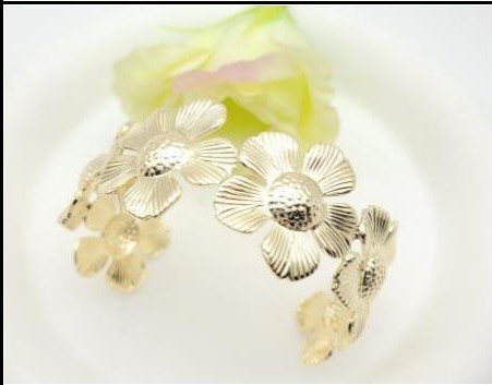 Pulsera Hierro Oro 18K PBR0706913