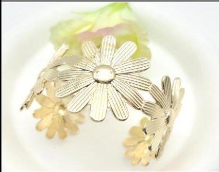 Pulsera Hierro Oro 18K PBR0706915